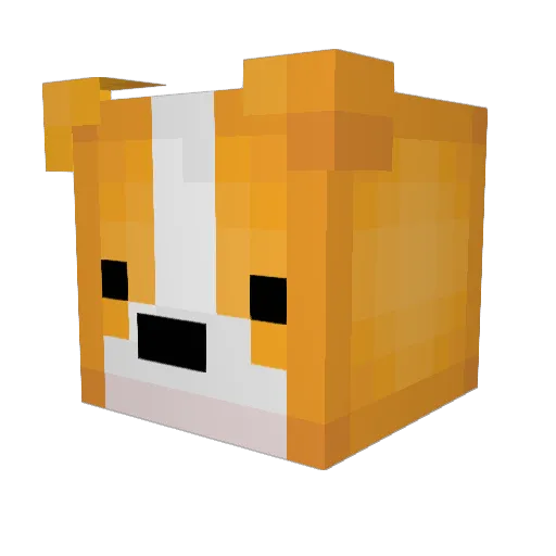 JasXIII Minecraft avatar head, 3D render