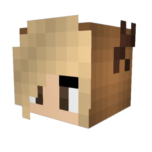 Jas_ Minecraft avatar head, 3D render