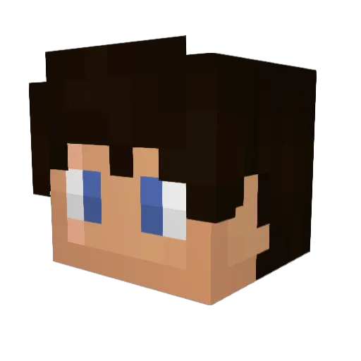 Jas_Tank_Two Minecraft avatar head, 3D render