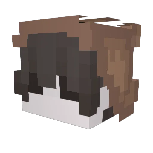 Jasabalza Minecraft avatar head, 3D render