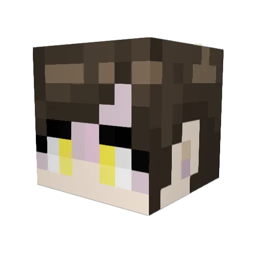Jasanapines Minecraft avatar head, 3D render