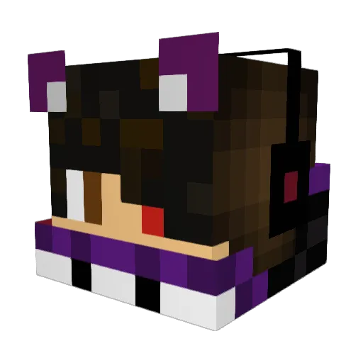 JaseEDM Minecraft avatar head, 3D render