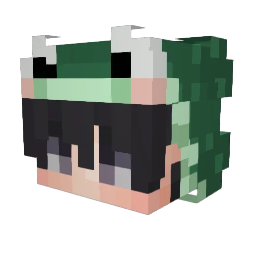 Jasi287 Minecraft avatar head, 3D render