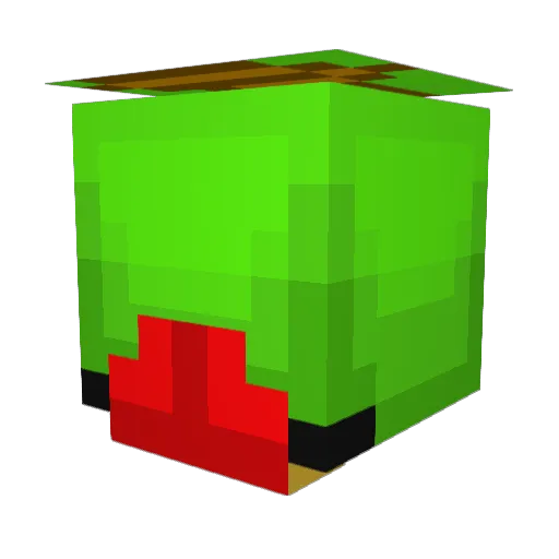 JasiekFlorek Minecraft avatar head, 3D render