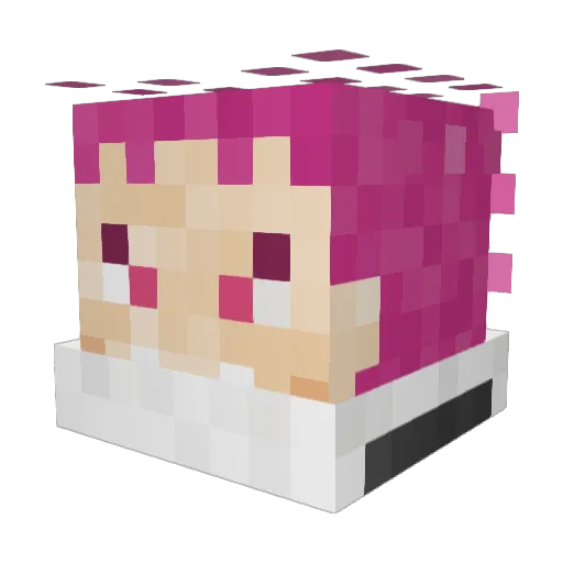 Jaskett Minecraft avatar head, 3D render
