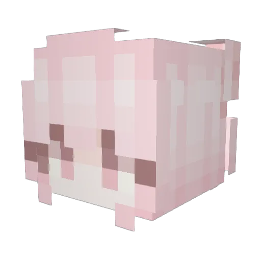 Jaskinianka Minecraft avatar head, 3D render