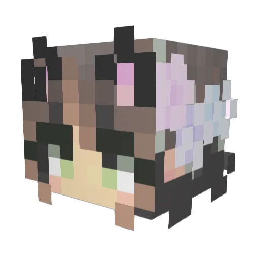JasmeowTheCat Minecraft avatar head, 3D render
