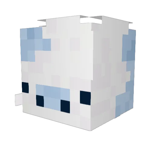 JasmijnFlo Minecraft avatar head, 3D render
