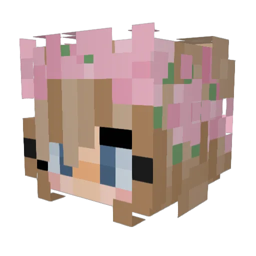 Jasmin646 Minecraft avatar head, 3D render