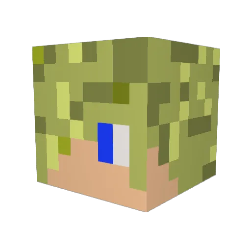 JasminPL Minecraft avatar head, 3D render