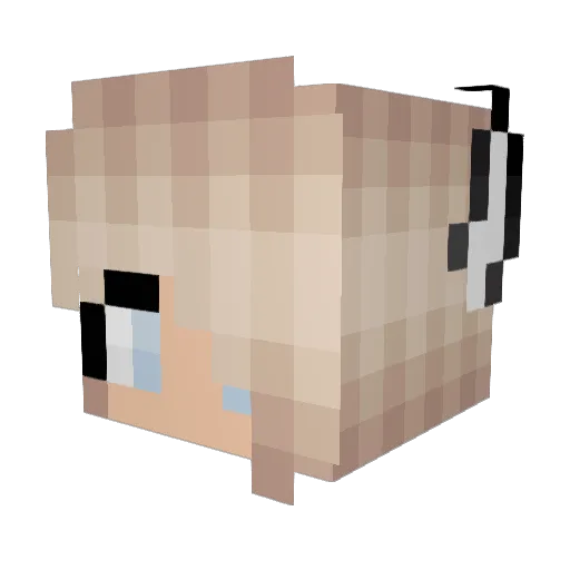 Jasmina286 Minecraft avatar head, 3D render