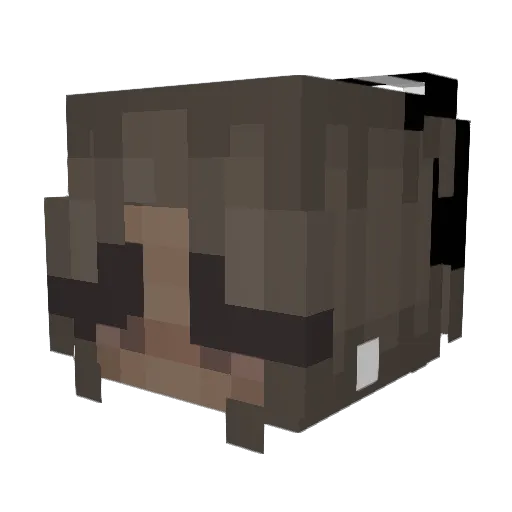 JasmineBlacke Minecraft avatar head, 3D render
