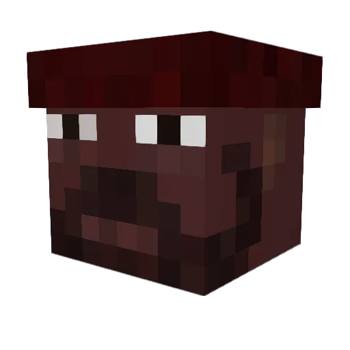 JasmineMan Minecraft avatar head, 3D render