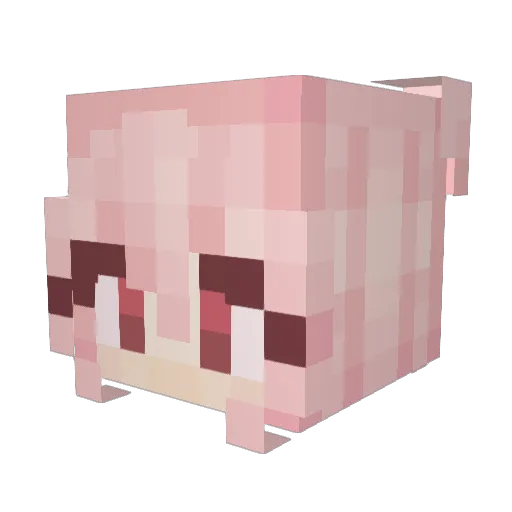 JasmineRiceCake Minecraft avatar head, 3D render