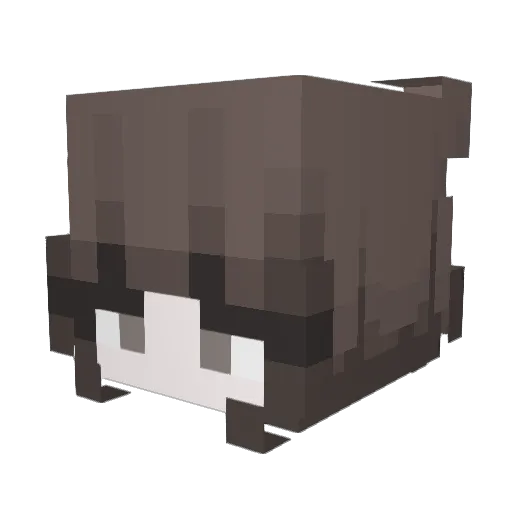 JasmineTee Minecraft avatar head, 3D render