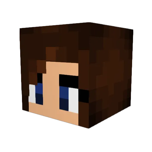 Jasminecooper_ Minecraft avatar head, 3D render