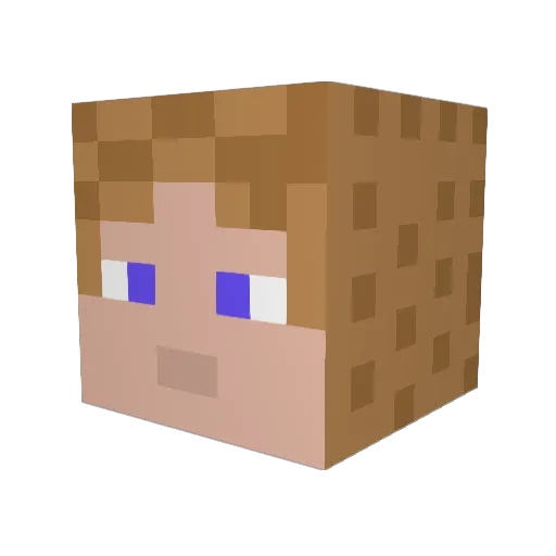Jasminelle Minecraft avatar head, 3D render