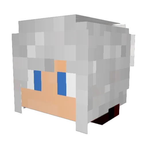 Jasn187 Minecraft avatar head, 3D render