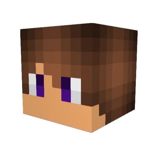 Jasnatdic Minecraft avatar head, 3D render