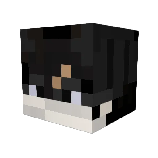Jasog8040 Minecraft avatar head, 3D render