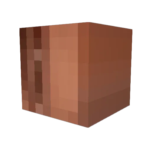 Jasolito Minecraft avatar head, 3D render