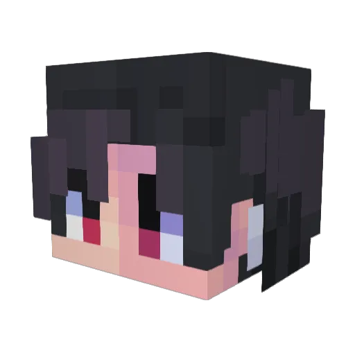 Jason8066 Minecraft avatar head, 3D render