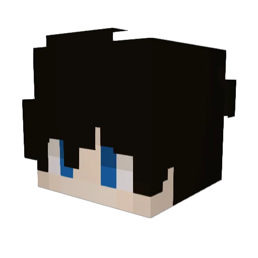 Jason8171 Minecraft avatar head, 3D render