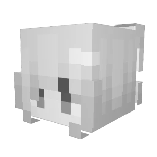 JasonJay03 Minecraft avatar head, 3D render