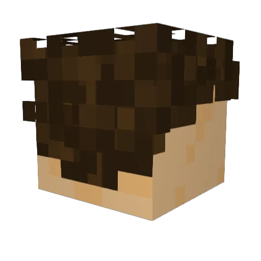 JasonLeGazon Minecraft avatar head, 3D render