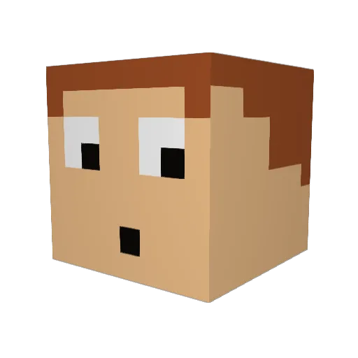 JasonMcClane Minecraft avatar head, 3D render