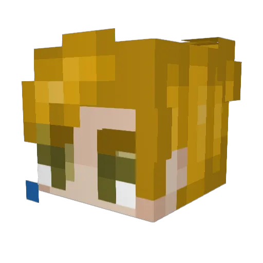 JasonRCraft Minecraft avatar head, 3D render