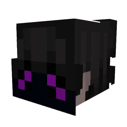 JasonRigestam Minecraft avatar head, 3D render