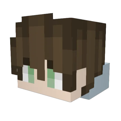 Jason_jotaroNojj Minecraft avatar head, 3D render