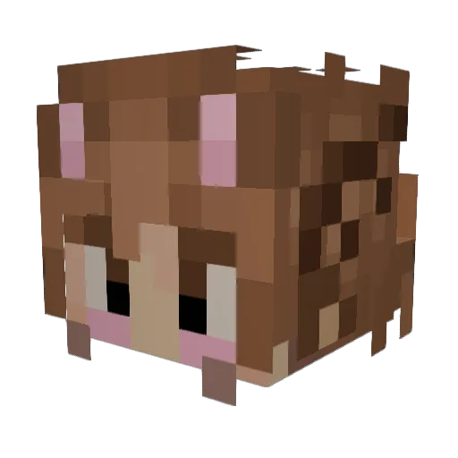 Jasonator_99 Minecraft avatar head, 3D render