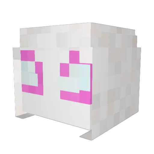 Jasondawinner Minecraft avatar head, 3D render