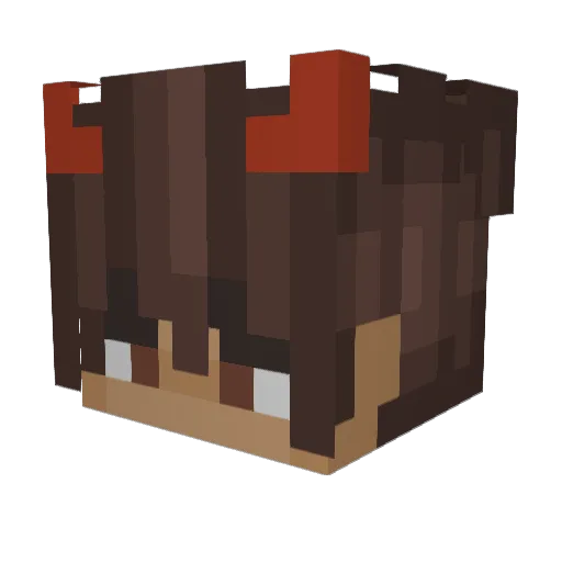 JasondeNooij Minecraft avatar head, 3D render