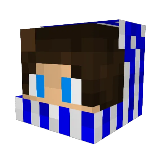 Jasoniasty Minecraft avatar head, 3D render