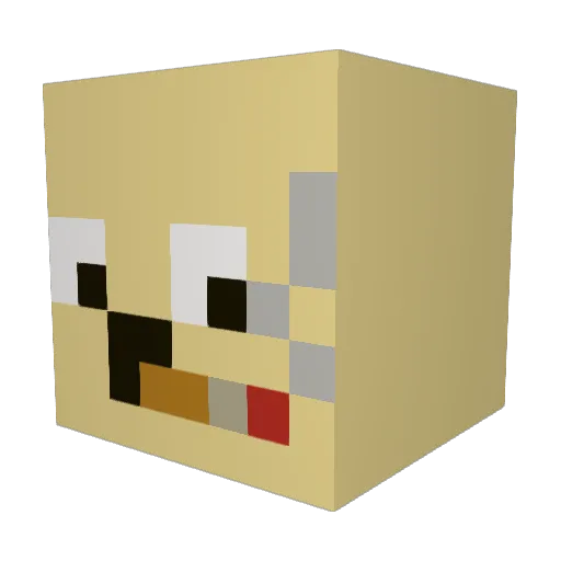 Jasonify_XD Minecraft avatar head, 3D render