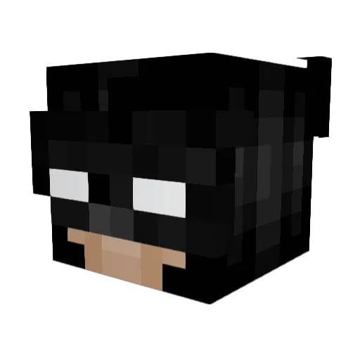 Jasonman03 Minecraft avatar head, 3D render