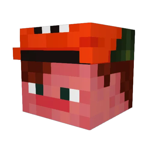 Jasonmorganetti Minecraft avatar head, 3D render