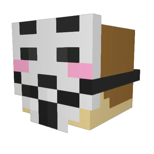 Jasonqq Minecraft avatar head, 3D render
