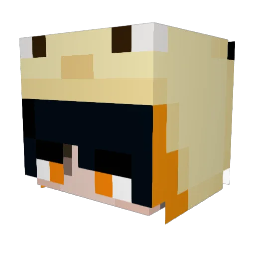 Jasonthebest313 Minecraft avatar head, 3D render