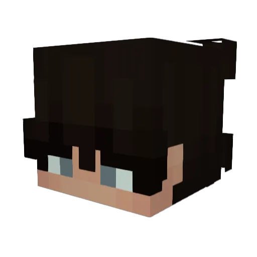 Jasooonnn Minecraft avatar head, 3D render