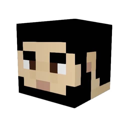 Jasper00649 Minecraft avatar head, 3D render