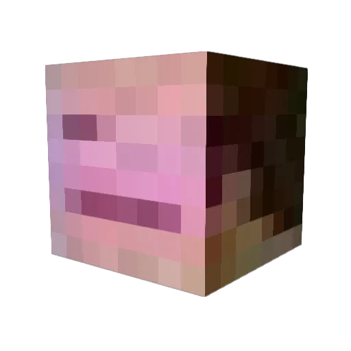 Jasper131 Minecraft avatar head, 3D render