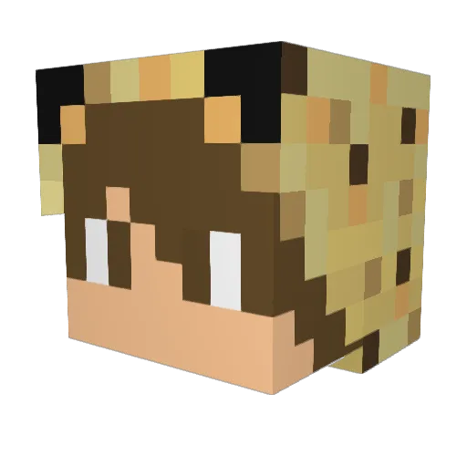 Jasper2005 Minecraft avatar head, 3D render