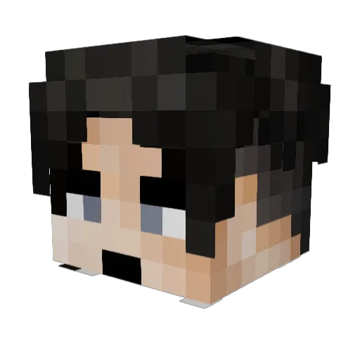 Jasper4645 Minecraft avatar head, 3D render