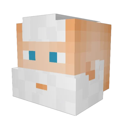 JasperDaDolphin Minecraft avatar head, 3D render