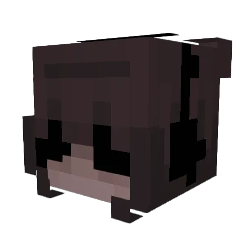 Jasper_DiedXD Minecraft avatar head, 3D render