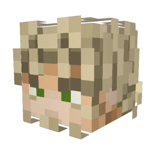 Jaspersworld96 Minecraft avatar head, 3D render